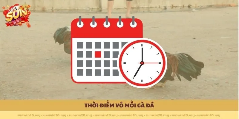 Thời điểm Vô mồi gà đá 